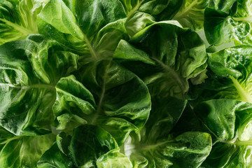 close up view of fresh wet green lettuce leaves