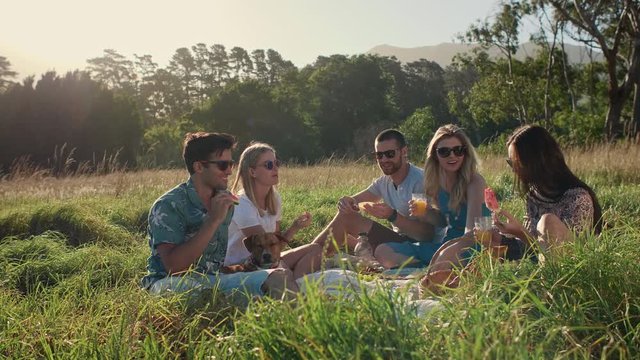 group of friends having a picnic outdoors in meadow