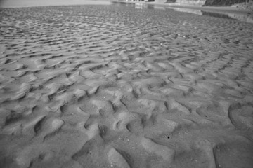 Dirty sand on the beach From releasing waste water into the sea or ocean