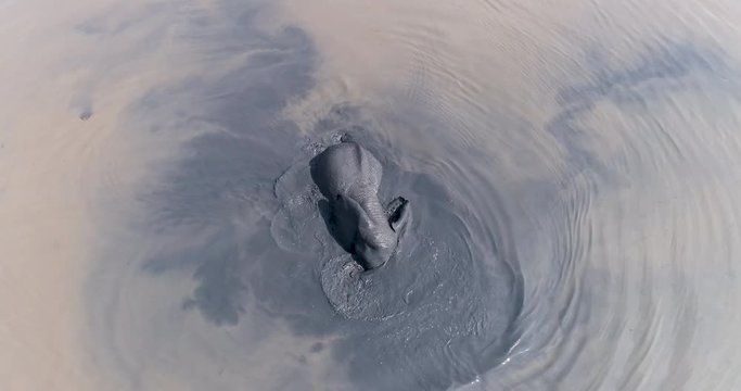 Straight down aerial view of an elephant playing and swimming in a river in the Okavango Delta, Botswana
