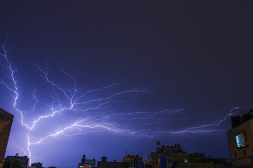 Lightning Like a Tree