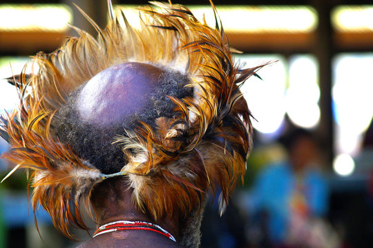 dani people during tribe festival in wamena-baliem valley-papuasia-indonesia
