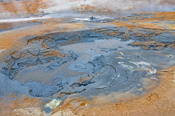 Bubbling Mudpot in an Icelandic Thermal Area