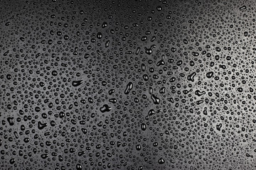 water drop on black background.