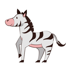 Fototapeta na wymiar Zebra wildlife cute animal cartoon