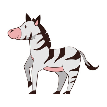 Zebra wildlife cute animal cartoon
