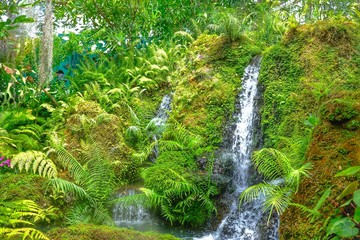 green nature and waterfall wallpaper background