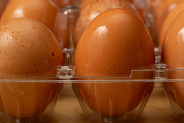 Brown Eggs in a Clear Plastic Container Close Up