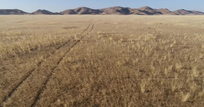 4K high aerial view of a track through the Koakoland savannah region of the Namib desert showing the famous fairy circles, Namibia