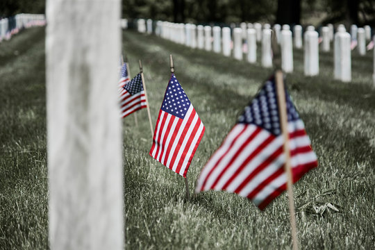 American Flags on Soldier's Gravesite