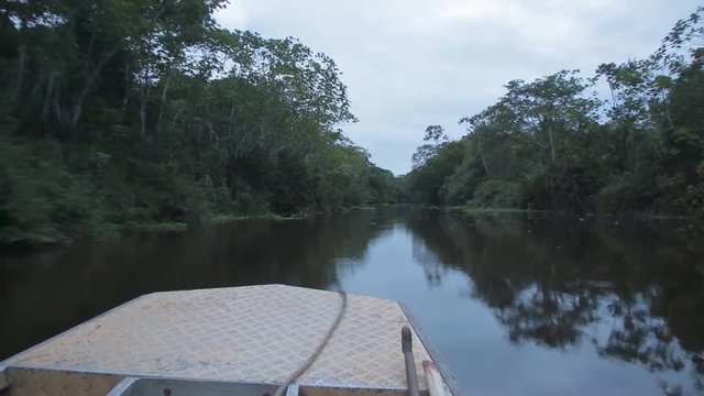 Sailing through the jungle flooded jungle in Pacaya Samiria National Reserve, Peru