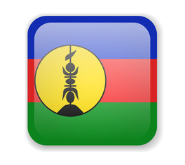 Obraz premium New Caledonia flag bright square icon on a white background
