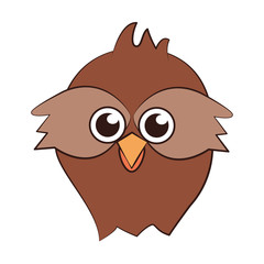 Owl head wildlife cute animal cartoon