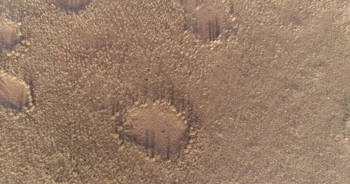 4K circular zoom out aerial view of the famous fairy circles in the Namib desert with a tourist vehicle in the frame,Namibia