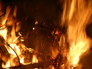 Knut Feuer