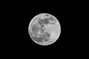 Moon Shot - The full moon is captured against a night sky.