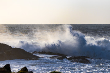 waves crashing on rocks
