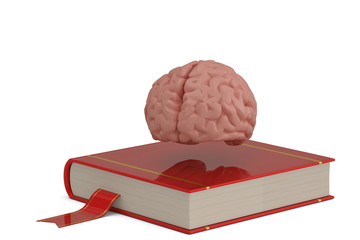 Book with brain isolated on white background. 3D illustration.