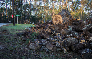 Pile of chopped raw wood