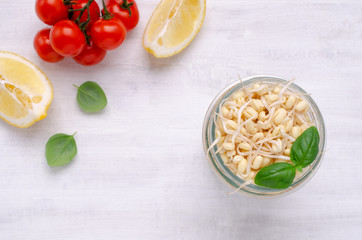 Fresh sprouts of bean seeds.
