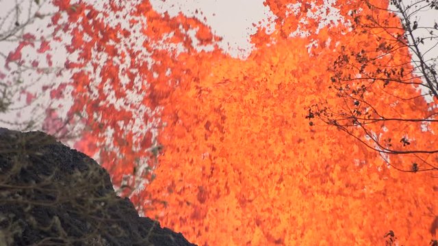 Kilauea Volcano Eruption 2018 - Vigorous Lava Fountain From Active Fissure