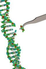 Genetic engineering and gene manipulation concept tweezers is replacing part of a dna molecule. 3D illustration.