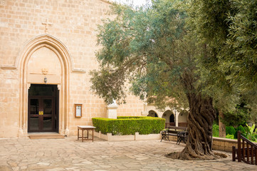 Saint Neophyte Monastery