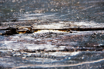 Wood surface background