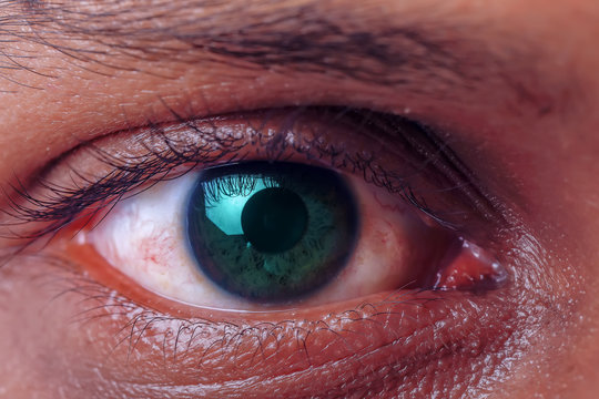 Sharp Human eye close-up , Eye vision 