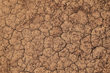 Dried cracked earth soil ground texture background. Global warming effect. Mosaic pattern of sunny dried earth soil. 