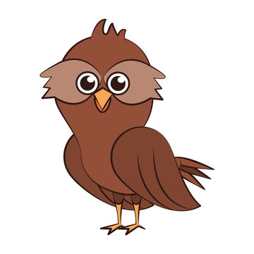 Owl exotic bird animal cartoon
