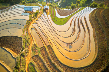 Aerial view of rice terraced fields in Mu Cang Chai, Vietnam at watering season.