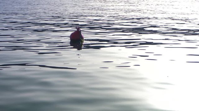 Buoy in calm ocean, Croatia