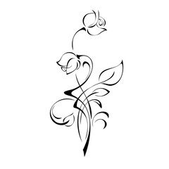 decorative twig with two buds of roses with leaves and curls in black lines on a white background