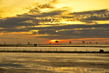 Sunrise over Dong Chau beach, Thai Binh, Vietnam. Local inhabitants breed clams/ shells for export. 