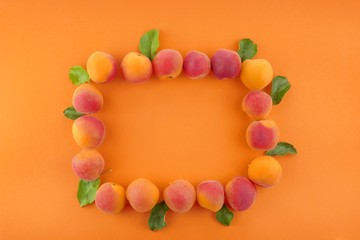 Apricots fruit. frame of ripe apricots on a bright orange background. White frame and fresh fruit. Apricot season.top view, copy space
