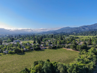 Aerial view of wine vineyard in Napa Valley during summer season. Napa County, in California's Wine Country, part of the North Bay region of the San Francisco Bay Area. Vineyards landscape.