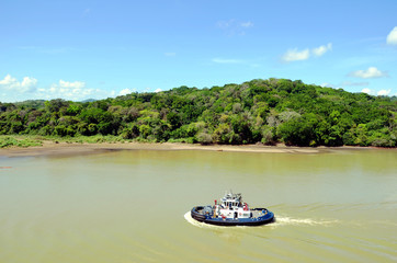 Fototapeta na wymiar Landscapes of the Panama canal, view from the transiting cargo ship.