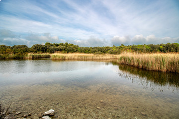 Large lake