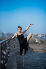 Fototapeta na wymiar Ballerina in a tutu posing standing by the fence. Beautiful young woman in black dress and pointe dancing outside. Gorgeous ballerina performing a dance outdoors