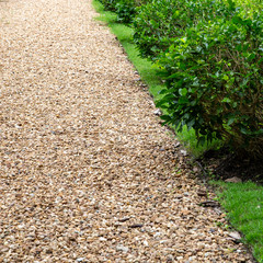 Stone path way with plant