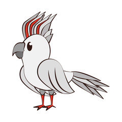 Exotic tropical bird cartoon isolated