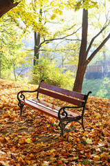 Wooden bench in autumn park.