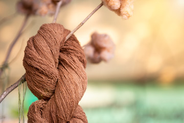 Brown cotton thread hanging on wooden stick over blurred background, Thai cotton
