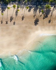 Beach aerial with palm trees, blue turquoise ocean and white sand. Magazine cover for travel,...