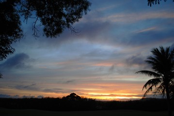 Fototapeta premium Gorgeous skies and silhouettes of trees at sunset
