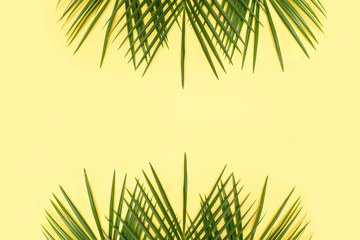 Tropical palm leaf on yellow background. Creative collage.