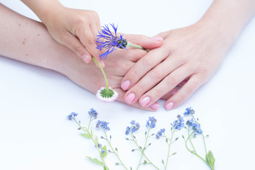 beautiful soft hands of a woman and forget me nots flowers skincare