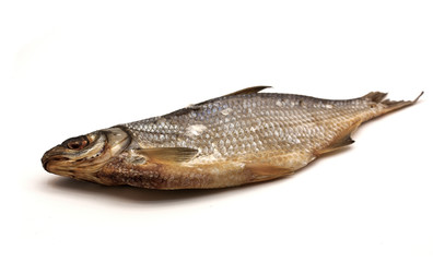 matches stand in the circle on a white background