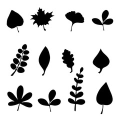 Set of Leaves on the white background. Leaves silhouette . Vector EPS 10.